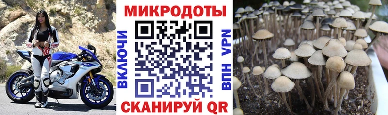 Псилоцибиновые грибы GOLDEN TEACHER  Асино 